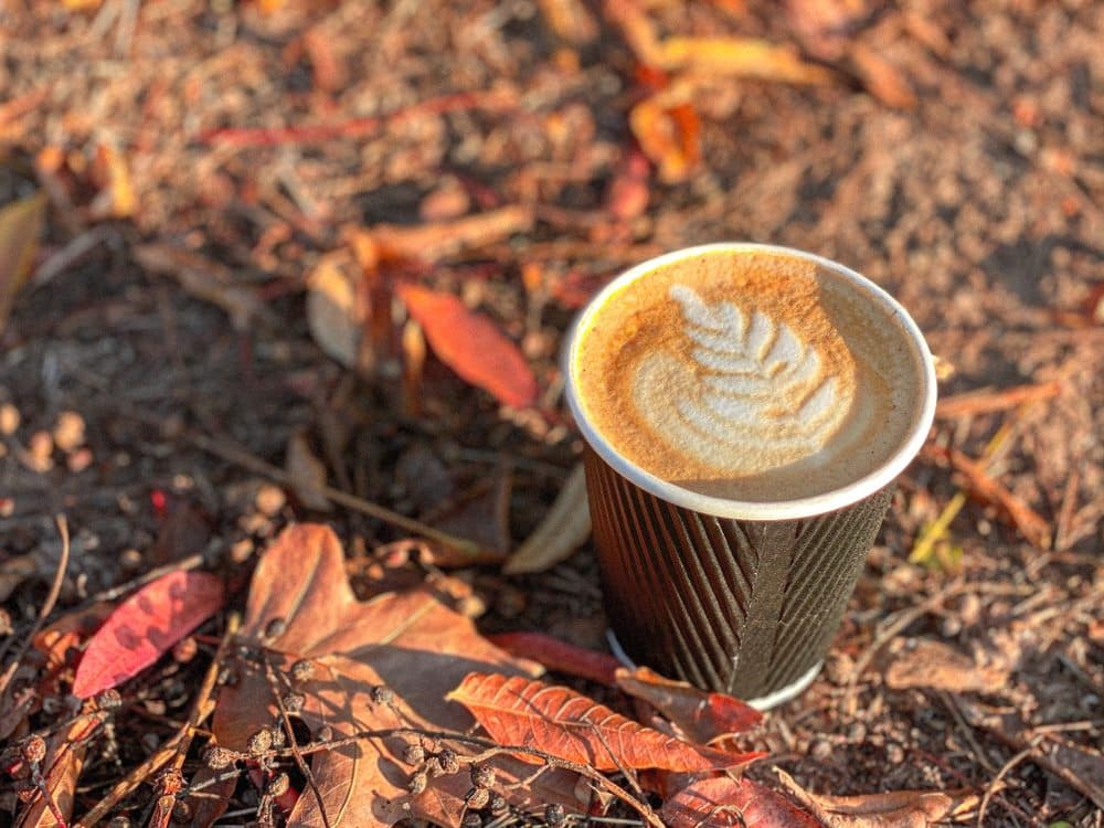 <b>Cafe Comma</b>
<br>Dirección: 3621 Vinings Slope SE Ste 4150 Atlanta, GA 30339
<br>Sitio web:
<a href="https://www.atlcafecomma.com">https://www.atlcafecomma.com</a>
<br>
<a href="https://www.yelp.com/map/cafe-comma-atlanta-2"><b>Cómo llegar</b></a>
<br>
<br>Aseguran que su menú de bebidas incluye cafés tradicionales, así como bebidas de café especiales, también ofrecen variedades de pasteles, sándwiches, tostadas abiertas y otros alimentos.