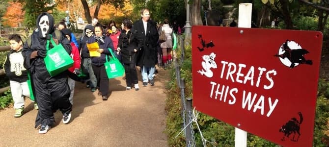 Este sábado 24 de octubre se celebrará el Spooky Zoo Spectacular en el Zoológico de Lincoln Park de las 11 am a 2 pm. Habrá trick or treat y muchas actividades más en el 2001 N Clark St. Se recomienda a los niños ir disfrazados.