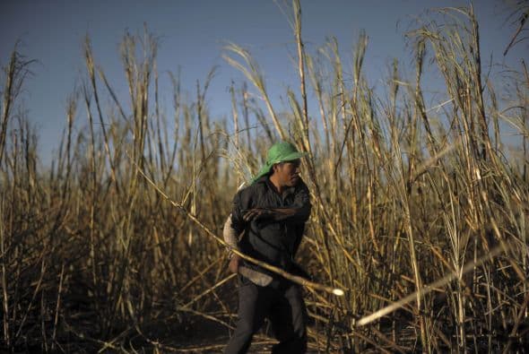 Sin embargo, los que se quedan han tenido que buscar la manera de sobrevivir.