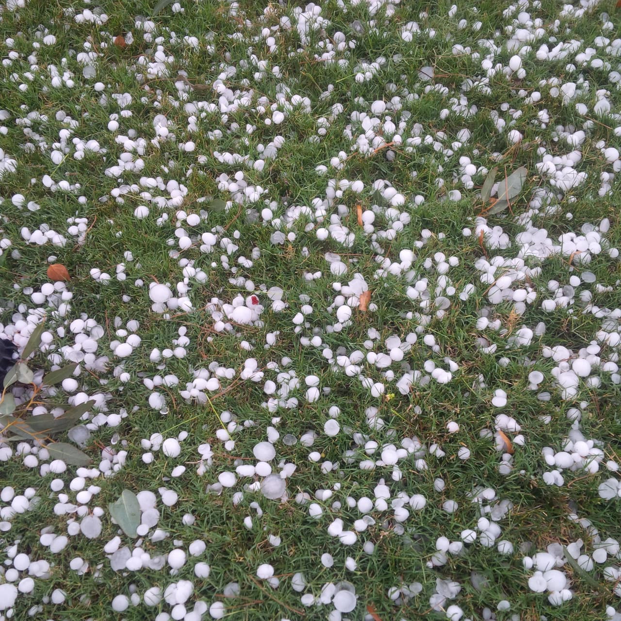 Una fuerte tormenta sorprendió a los residentes de Tucson, donde cayó una tremenda granizada causando daños a viviendas y autos.