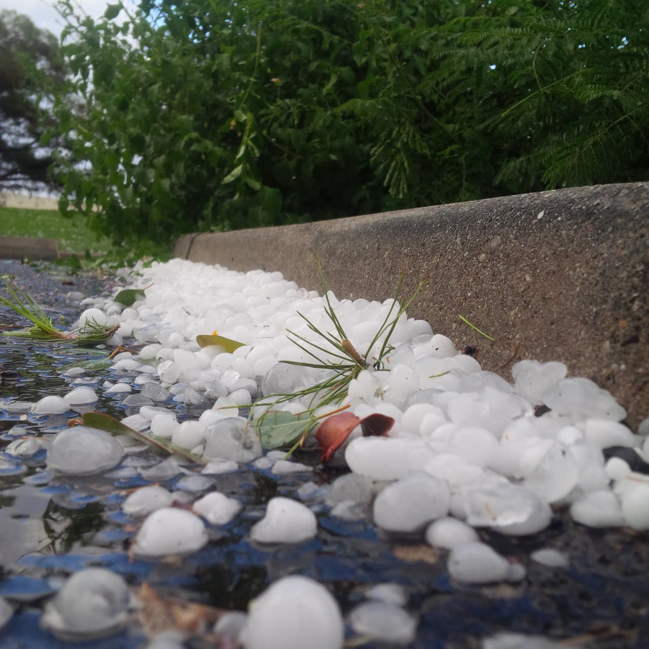 Una fuerte tormenta sorprendió a los residentes de Tucson, donde cayó una tremenda granizada causando daños a viviendas y autos.