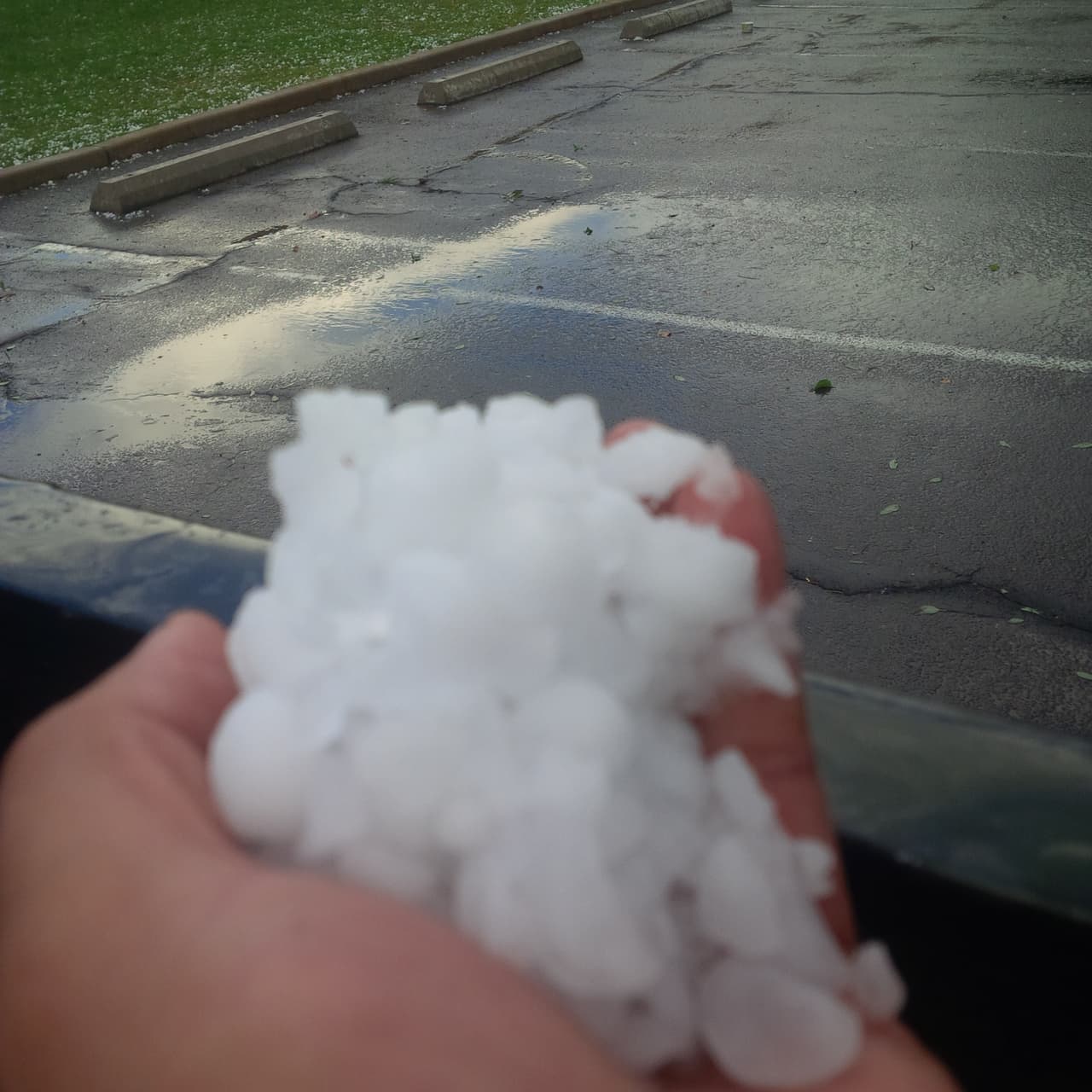 Una fuerte tormenta sorprendió a los residentes de Tucson, donde cayó una tremenda granizada causando daños a viviendas y autos.