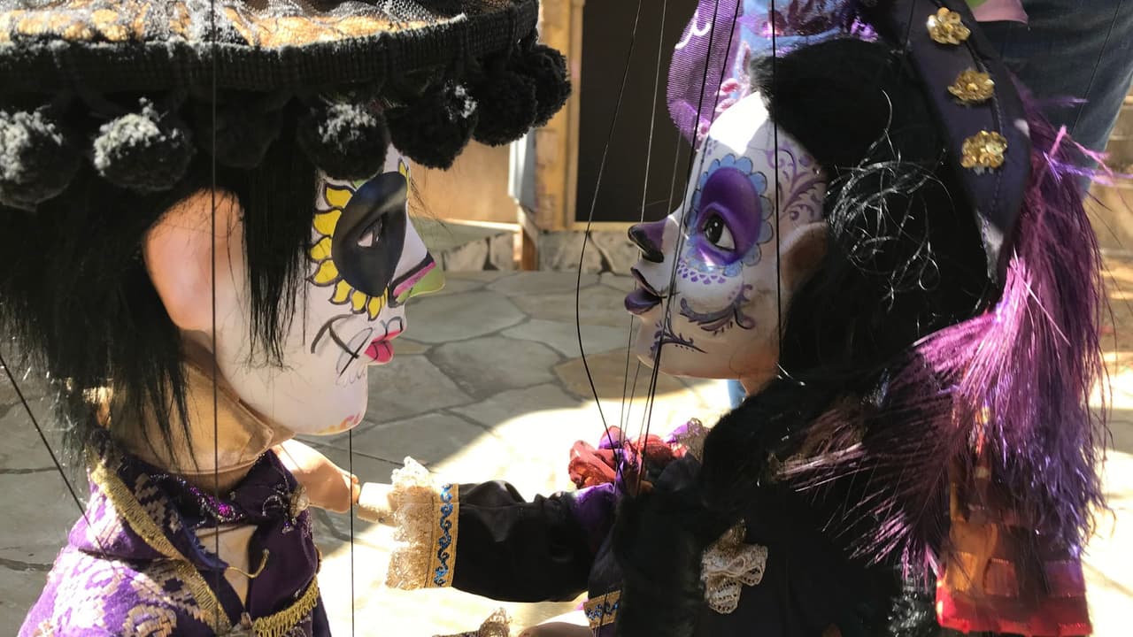 Este show es gratuito y está incluido al pagar tu pase de entrada a la Feria Estatal de Texas que estará hasta el 23 de octubre en Fair Park.