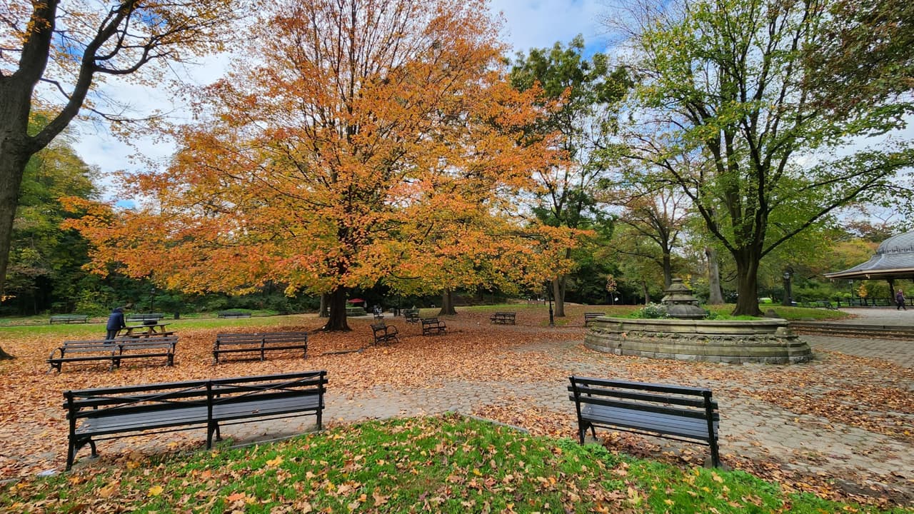 <b>Así son las mañanas de otoño en el Prospect Park de Brooklyn</b>. Y además de ser un paisaje, cuenta con un zoológico, una pista de hielo, una banda musical, un carrusel y docenas de instalaciones deportivas y recreativas.