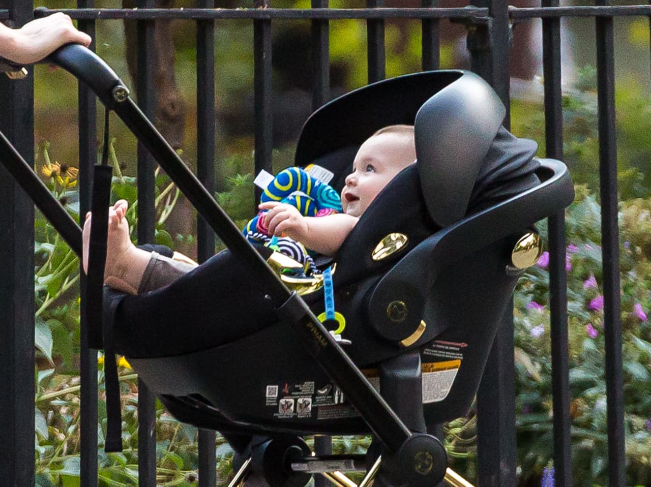 ¡Mira con cuánto amor la ve!