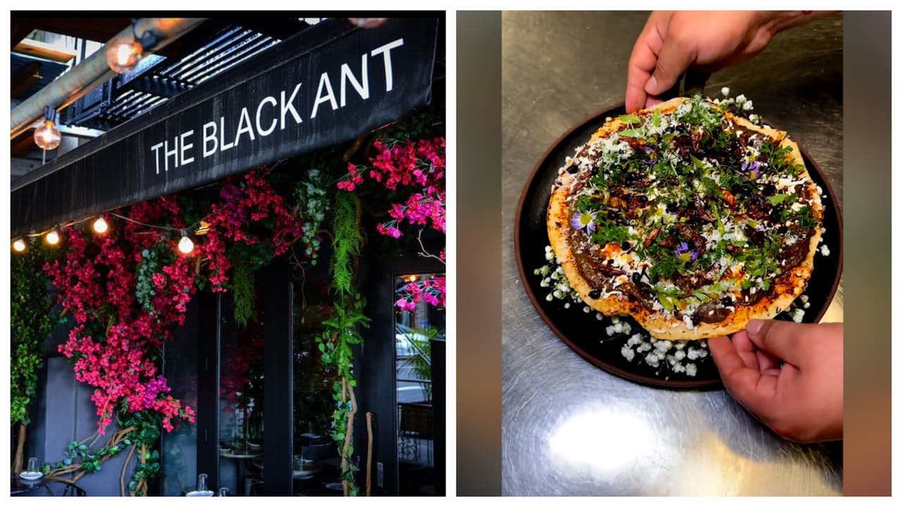 En este restaurante de NYC se comen saltamontes y hormigas… Y tienes que sacar turno para probarlos