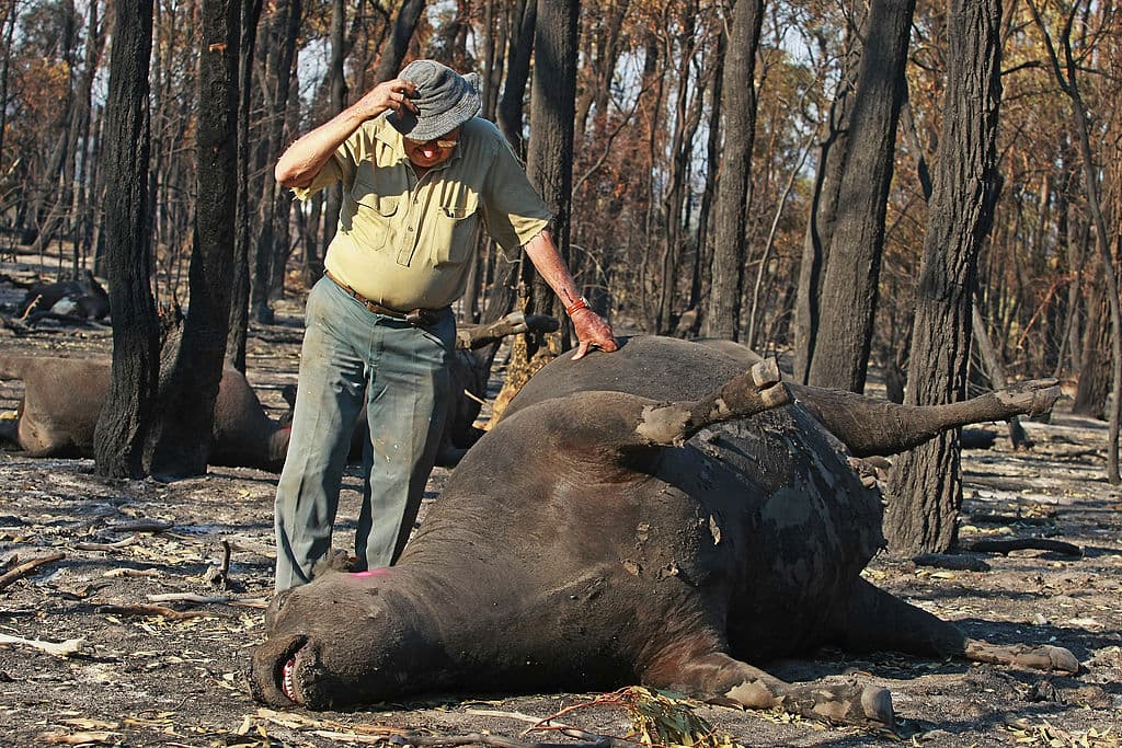 Las imágenes que llegan a través de las agencias son realmente devastadoras.