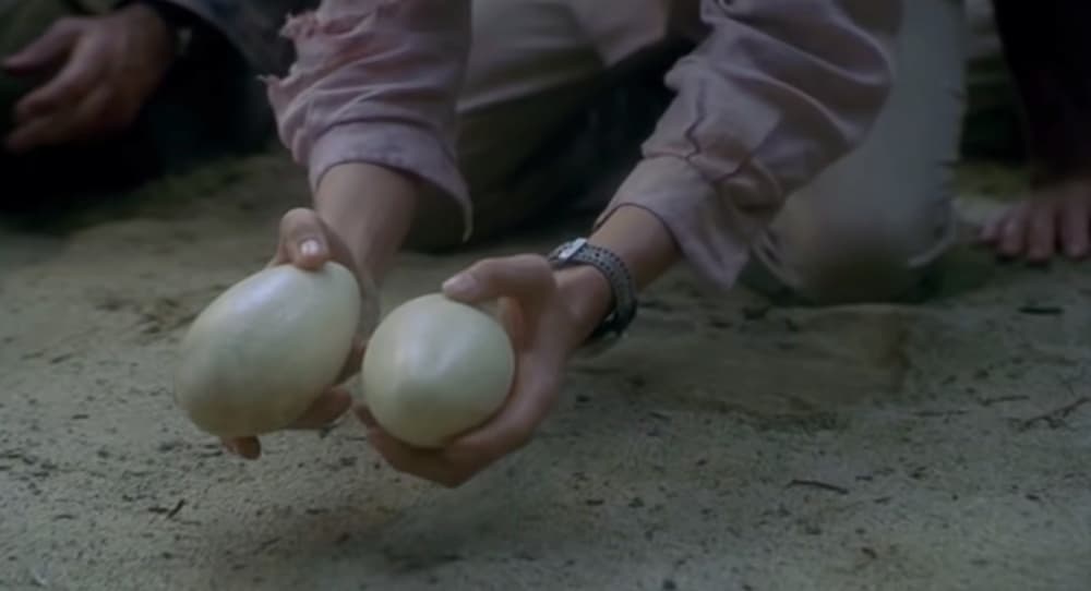 <b>Robando dinosaurios en </b>'
<b>Jurassic World: Dominion</b>'
<br>En 'Jurassic Park 3', Billy Brennan robó un huevo de un nido de velociraptors, lo que provocó que los protagonistas fueran perseguidos por toda una manada de esos peligrosos dinosaurios.
<br>