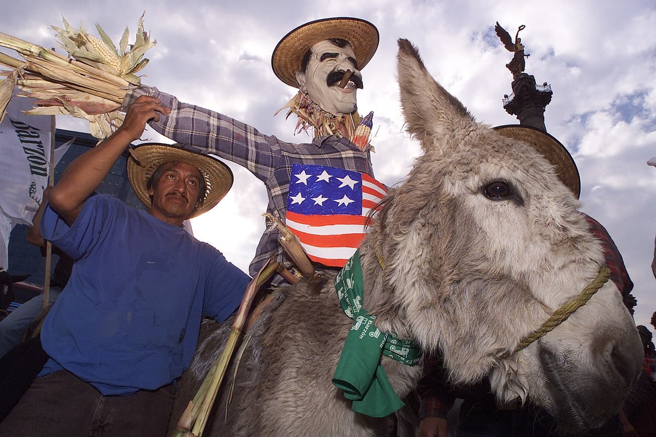 <b>Contra Fox</b>. A comienzos de 2003, miles de agricultores mexicanos protestaron en las calles de la capital contra la eliminación de aranceles a productos provenientes de Estados Unidos. Vicente Fox, presidente de México desde 2001, era entusiasta del acuerdo de libre comercio y prometió un amplio diálogo nacional con los productores mexicanos.