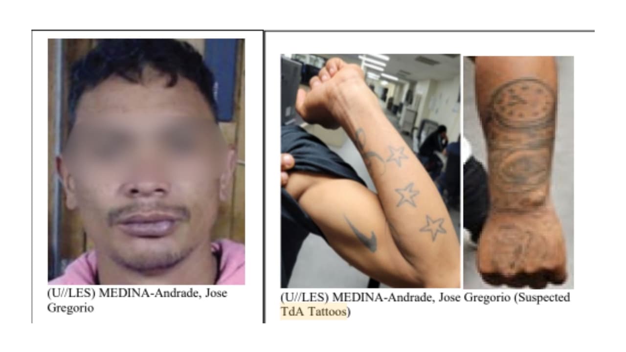 Captura de pantalla de las imágenes publicadas en el reporte de HSI sobre los tatuajes de José Gregorio Andrade Medina.