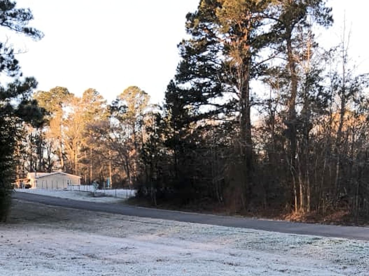 Este paisaje helado fue capturado por Liliam Olalde en Lufkin, Texas.