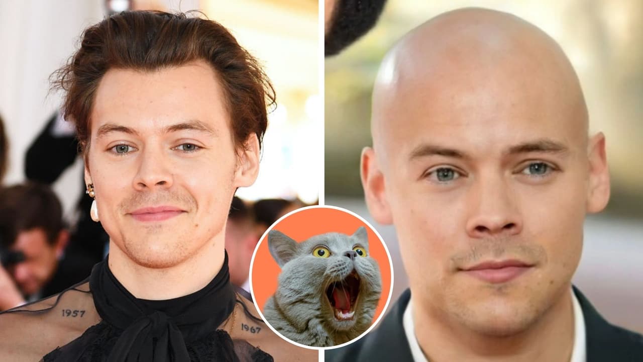  Fans aseguran que Harry Styles está calvo: estas serían las pruebas de la alocada teoría