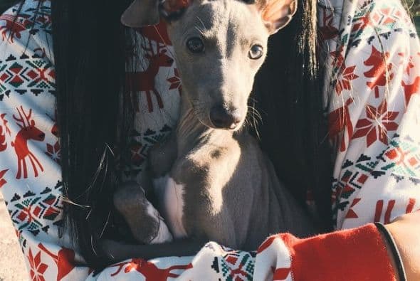 Kylie tuvo un regalito muy particular: ¡un perrito!