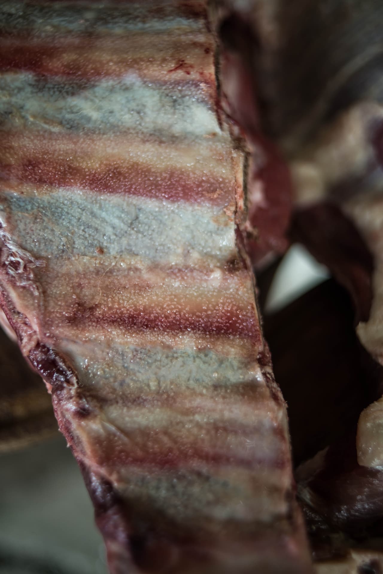 En Argentina, lo único que se añade a la carne es un golpe de sal de grano. La búsqueda es el sabor de la carne, por lo que cualquier otro ingrediente se considera una distracción.