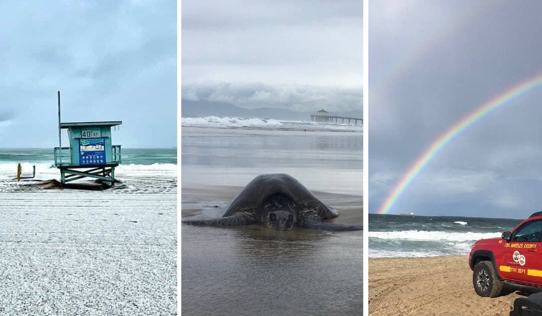La naturaleza sorprendió a los residentes del sur de 
<a href="https://www.univision.com/temas/california">California</a> durante la tormenta invernal más fuerte que ha impactado al estado durante este año.