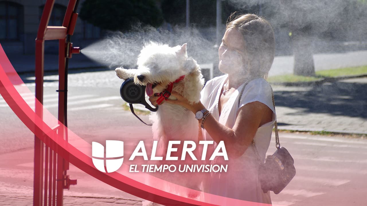 Semana calurosa en Dallas-Fort Worth: temperaturas cercanas a los 100 °F