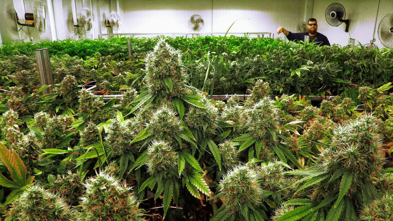 El gobernador de Illinois firma ley que legaliza el consumo recreativo de la marihuana