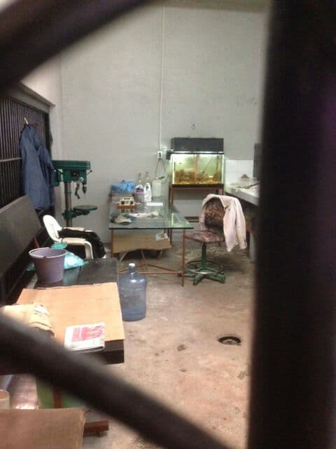 “Esta zona se diseñó para la adecuada preparación de los alimentos para los animales. Estaba siendo ocupada como 'cuarto de estar' para el trabajador del área, misma que no sólo debería estar despejada y limpia, sino incluso sanitizada. Observar que contaba hasta con una pecera, pese al riesgo de no contar con instalaciones eléctricas en buenas condiciones, y menos con extintores o hidrantes".