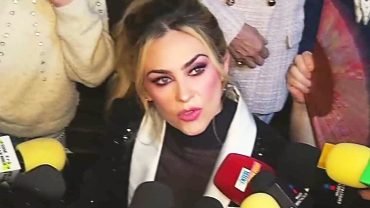 Aracely Arámbula pide que “no inventen” rumores y aclara escándalo sobre sus hijos