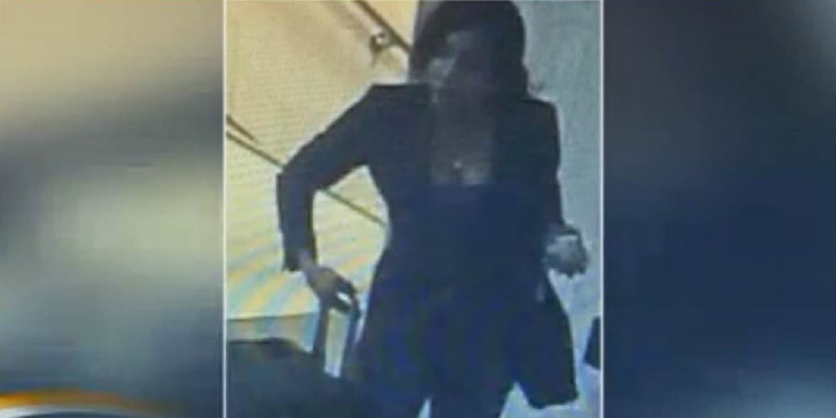 La aeromoza descubierta con una maleta llena de cocaína se declara culpable de narcotráfico