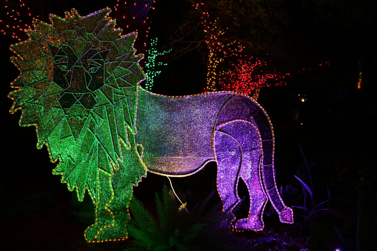 Las creativas representaciones de animales se pueden observar a lo largo de todo el recorrido.