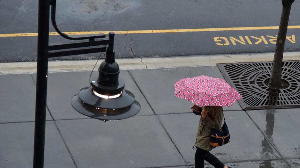 Chicago tendrá un sábado lluvioso con algunas tormentas