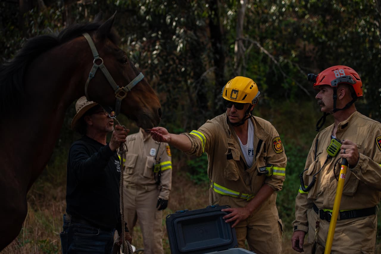 No descartó algunas sorpresitas saludables que le dieron, dando muestras de que su apetito tampoco se afectó tras quedar patas arriba, literalmente.