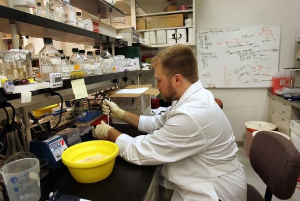 University of Illinois, Chicago