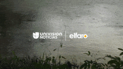 Univision gana premio Hillman de periodismo por trabajo sobre violencia y refugiados en Centroamérica