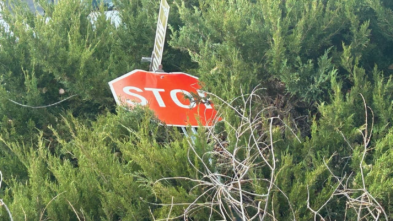 También arrasó con adornos navideños e hizo volar por los aires accesorios de jardín. Por el momento no se reportan personas lesionadas.