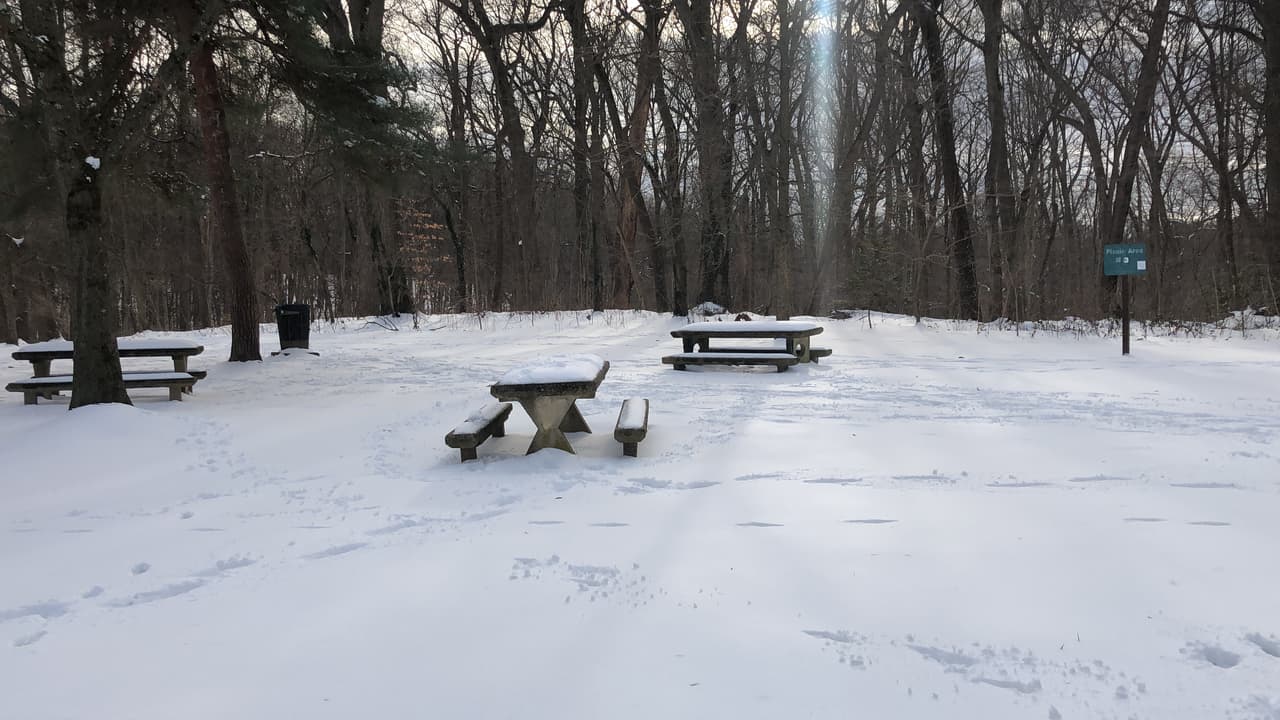 Las mesas de picnic en los parques están ocupadas. 
<br>
