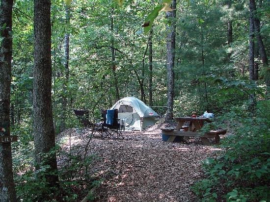 <b><a href="https://www.ash-grove.com/">Número 1: Ash Grove Mountain Cabins & Camping (Brevard)</a></b>. Cuenta con cabañas totalmente equipadas de 1 o 2 dormitorios; sitios aislados para tiendas de campaña o sitios con sombra para vehículos recreativos pequeños. Ubicado en 14 acres arbolados en la cima de una montaña cerca de Brevard, Dupont Forest, Pisgah Forest, Asheville, Biltmore, cascadas, caminatas y ciclismo de montaña.