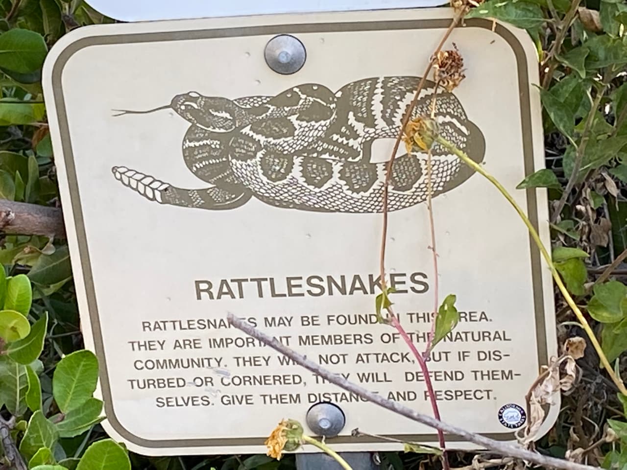 La recomendación de los expertos es no cruzarse en su camino. Respetar el espacio de animal es más que suficiente para no alterar su comportamiento.