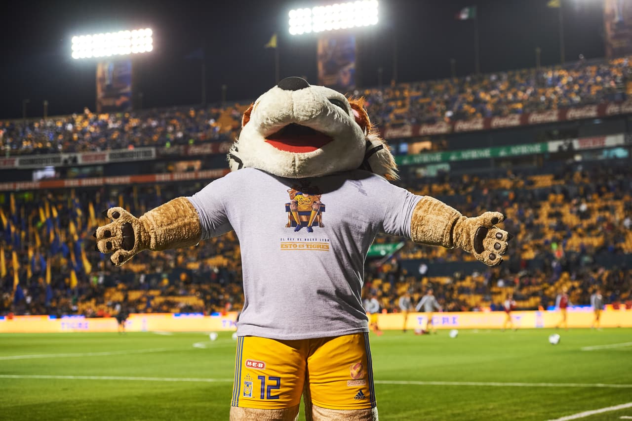 El Tigre más tierno y amigable.