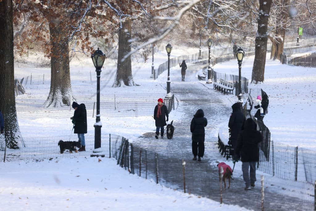 Hace 15 años que en Staten Island, Manhattan, Queens, El Bronx y Brooklyn, los cinco condados de la ciudad de Nueva York, no se registra lo que el Servicio Nacional de Meteorología cataloga como 
<b>una "blanca Navidad"</b>.