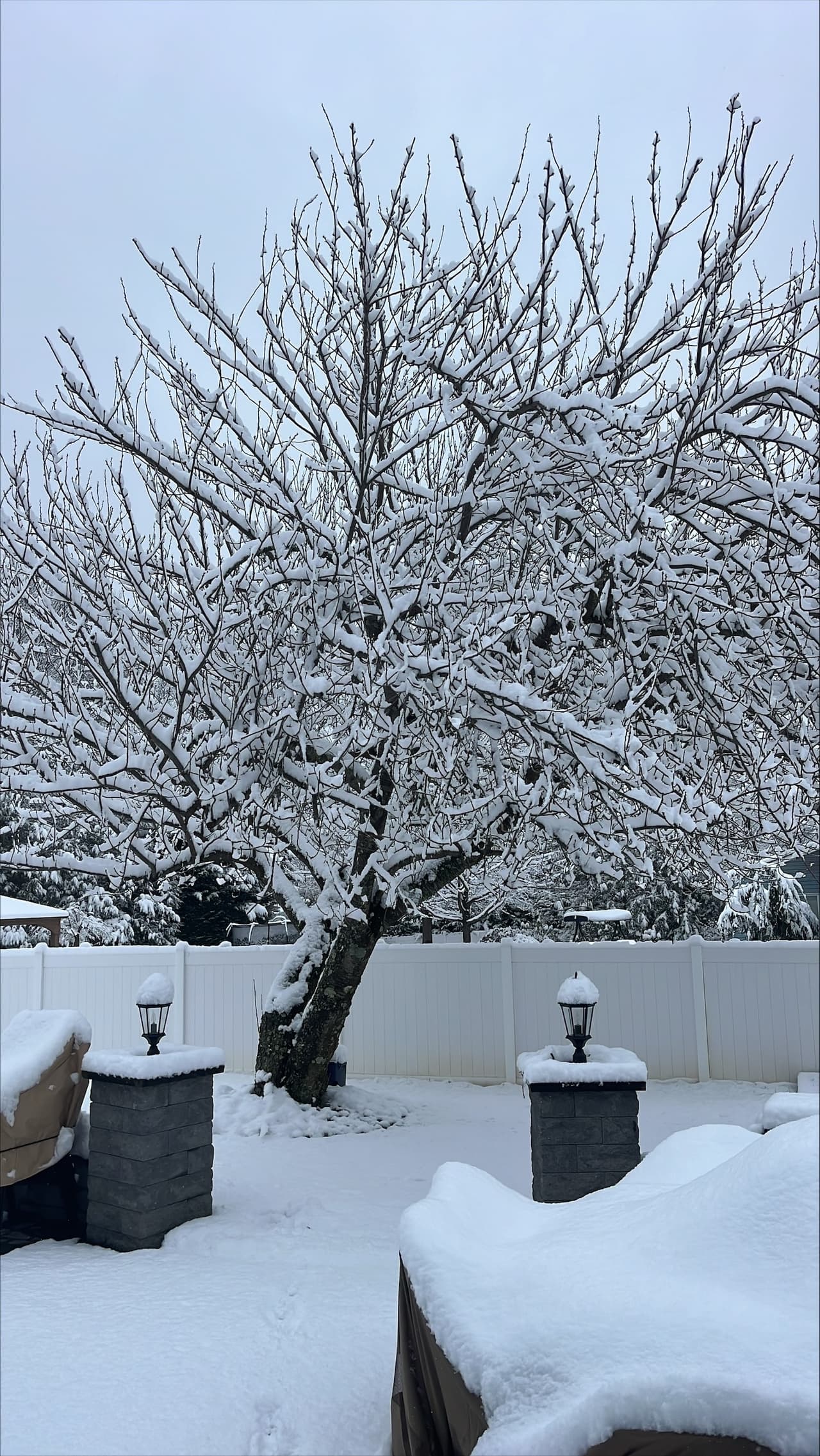 Esta imagen es de Marlboro, Nueva Jersey