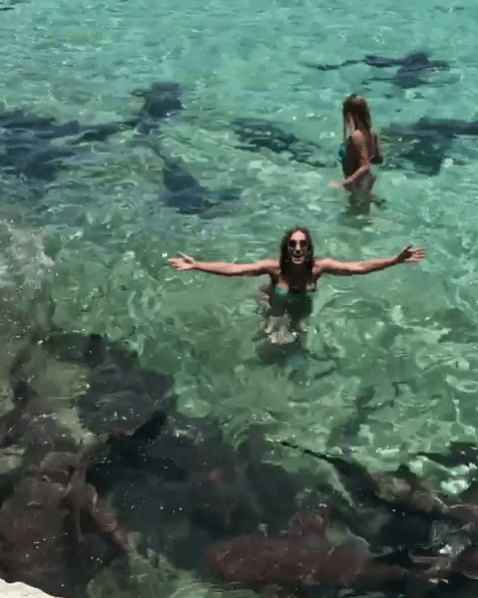 ¡Y Lili se atrevió a nadar con tiburones!