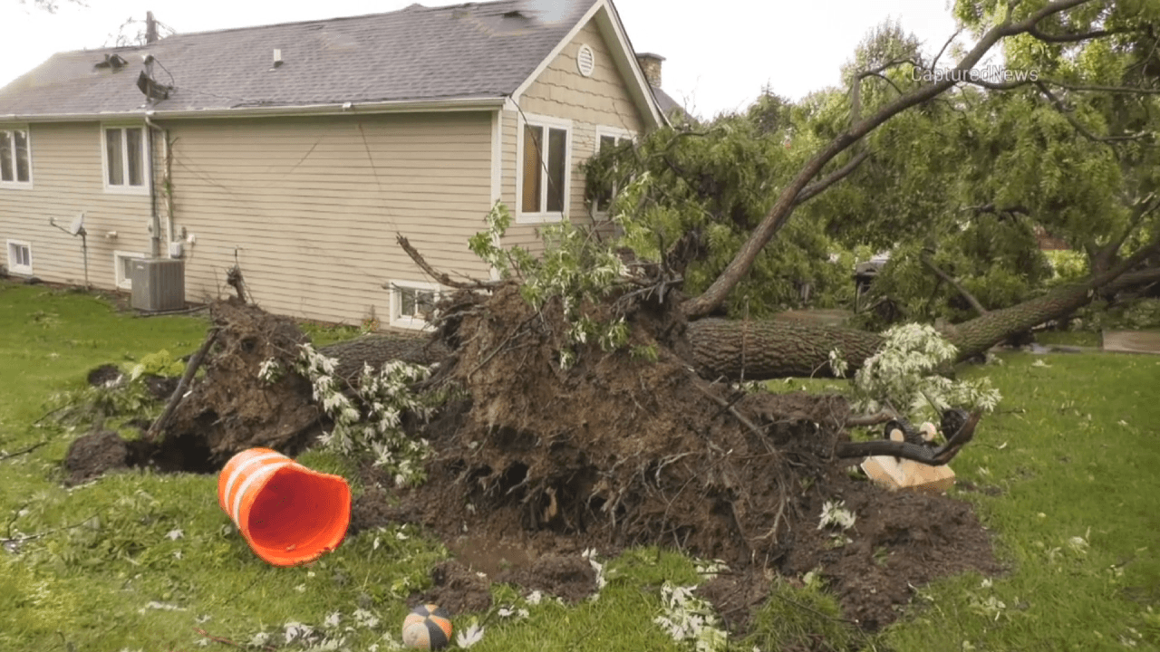 Patios de Countryside, IL. afectados por árboles caídos debido a los fuertes vientos de las tormentas de este miércoles.