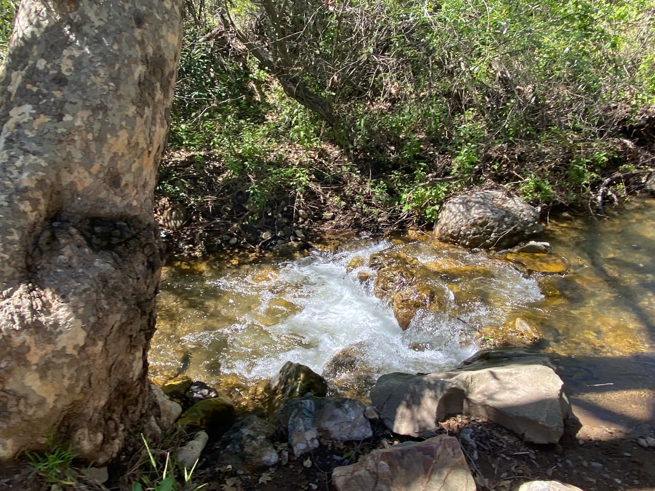 Tendrás más de una oportunidad de refrescarte durante tu travesía. Sin embargo, te recordamos no tomar agua del río. Para tus excursiones, siempre trae contigo un termo de agua potable.