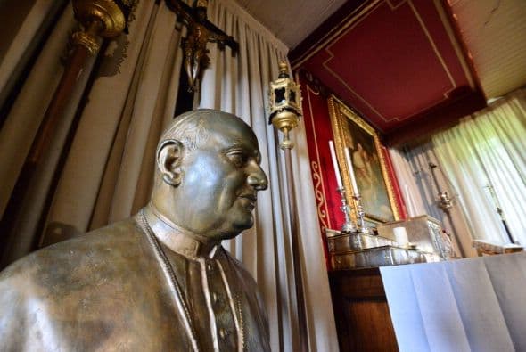 La web El Diario de España afirma que los rostros "especialmente los más amables"venden merchandising. Tal es el caso de Juan XXIII y de Juan Pablo II.