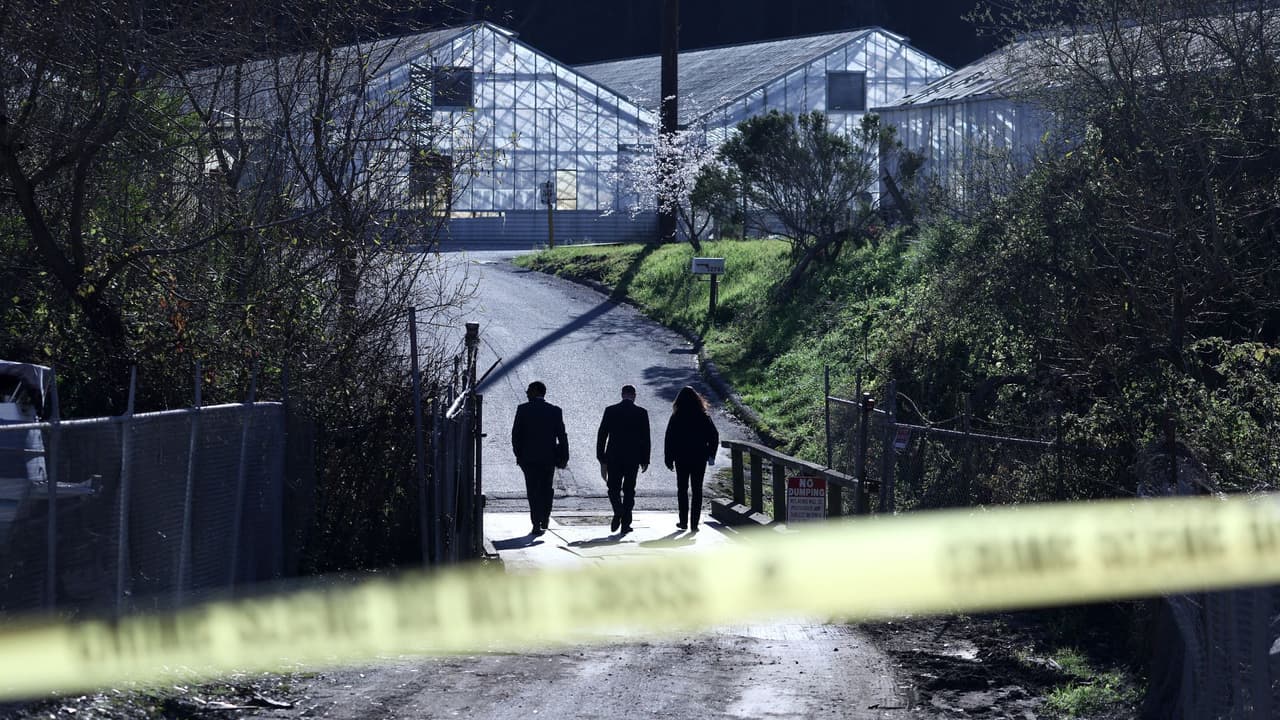 El 
<a href="https://www.univision.com/local/san-francisco-kdtv/honran-victimas-tiroteo-half-moon-bay">tiroteo masivo del 23 de enero en una granja de champiñones de Half Moon Bay</a> dejó siete muertos y un lesionado.
<br>
