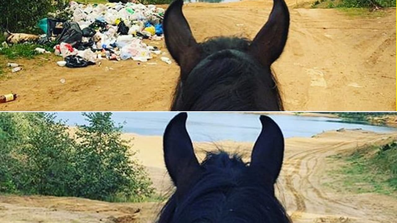 Desafío para adolescentes aburridos: toma una foto de una zona que necesite limpieza o mantenimiento. Luego toma otra foto después de haber hecho algo al respecto y compártela.