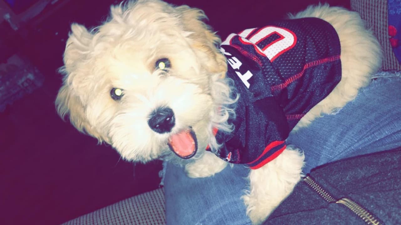 Clara Castillo - "Mi hermoso peluchín❤❤❤❤"