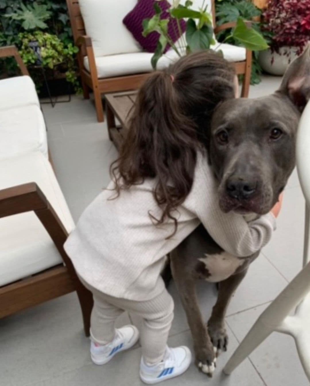 Su hija mayor lo adoraba, igual que Zuria y Alberto Guerra. Sin importar que fuera un canino de talla grande, Lúa, de 5 años, no dudaba en abrazarlo desde sus primeros años de edad.