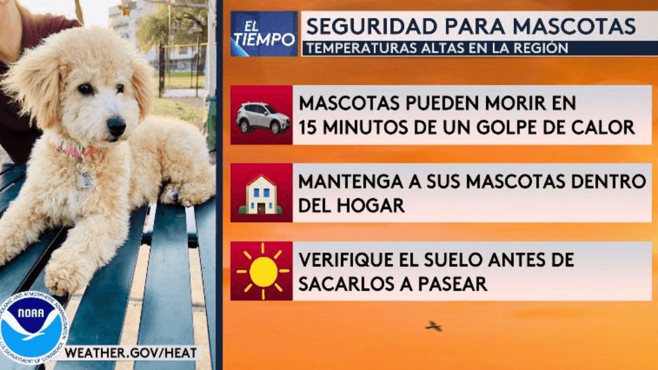 Cuidado esta tarde: habrá una alta sensación real de calor en San Antonio