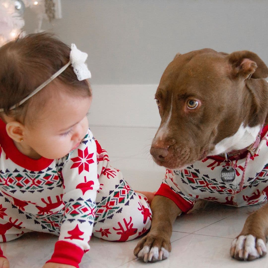 En esta secuencia fotográfica no faltaron las hijas perrunas de Carolina, quienes se llevan muy bien con la bebé de casa.