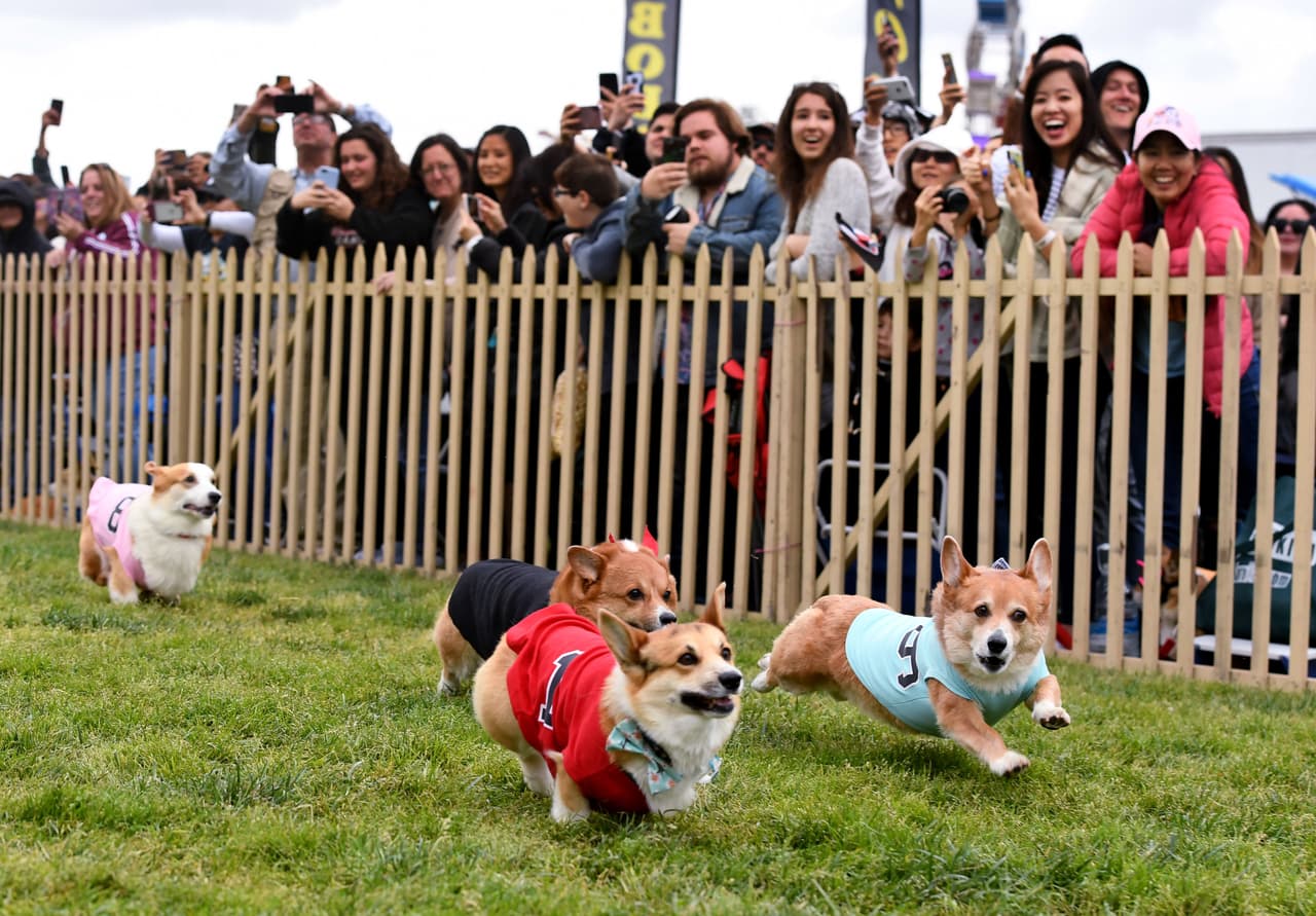 Las carreras estuvieron animadas por un numeroso público.