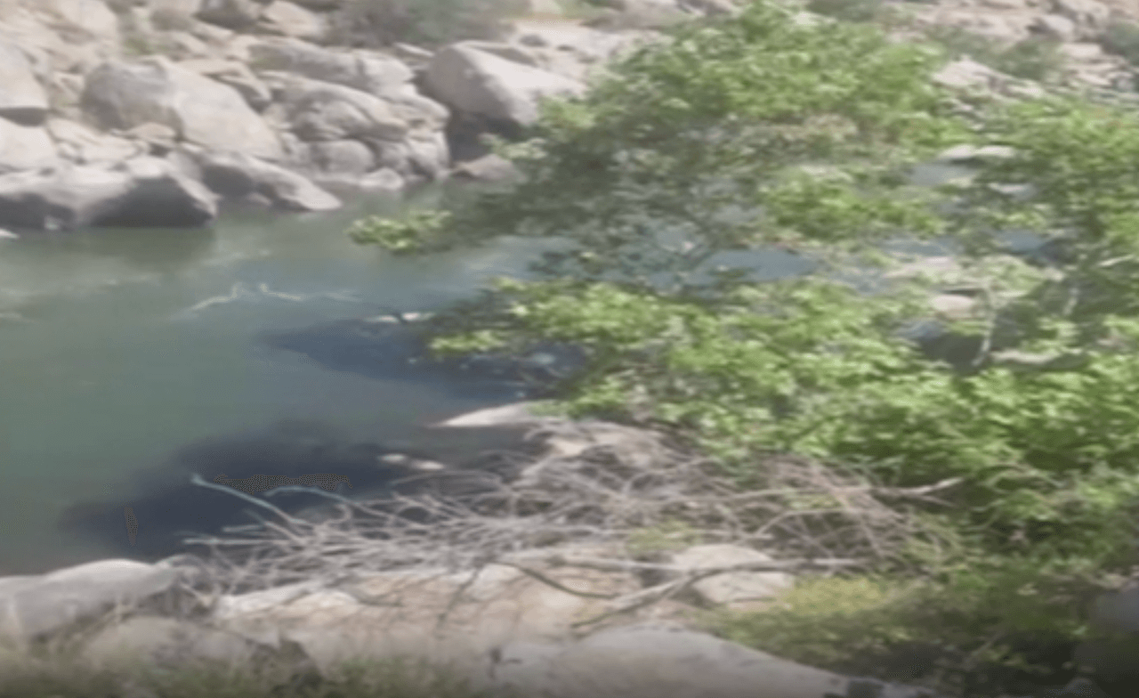 Enseña a tus hijos que nadar en aguas abiertas no es lo mismo que nadar en una piscina: deben ser conscientes de las superficies irregulares, las corrientes de los ríos, la resaca del océano y el clima cambiante.