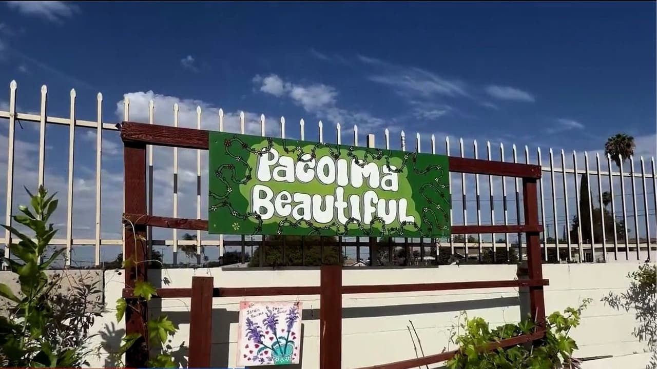 Con envases de agua que reciben, voluntarios riegan y mantienen vivo jardín comunitario en Pacoima