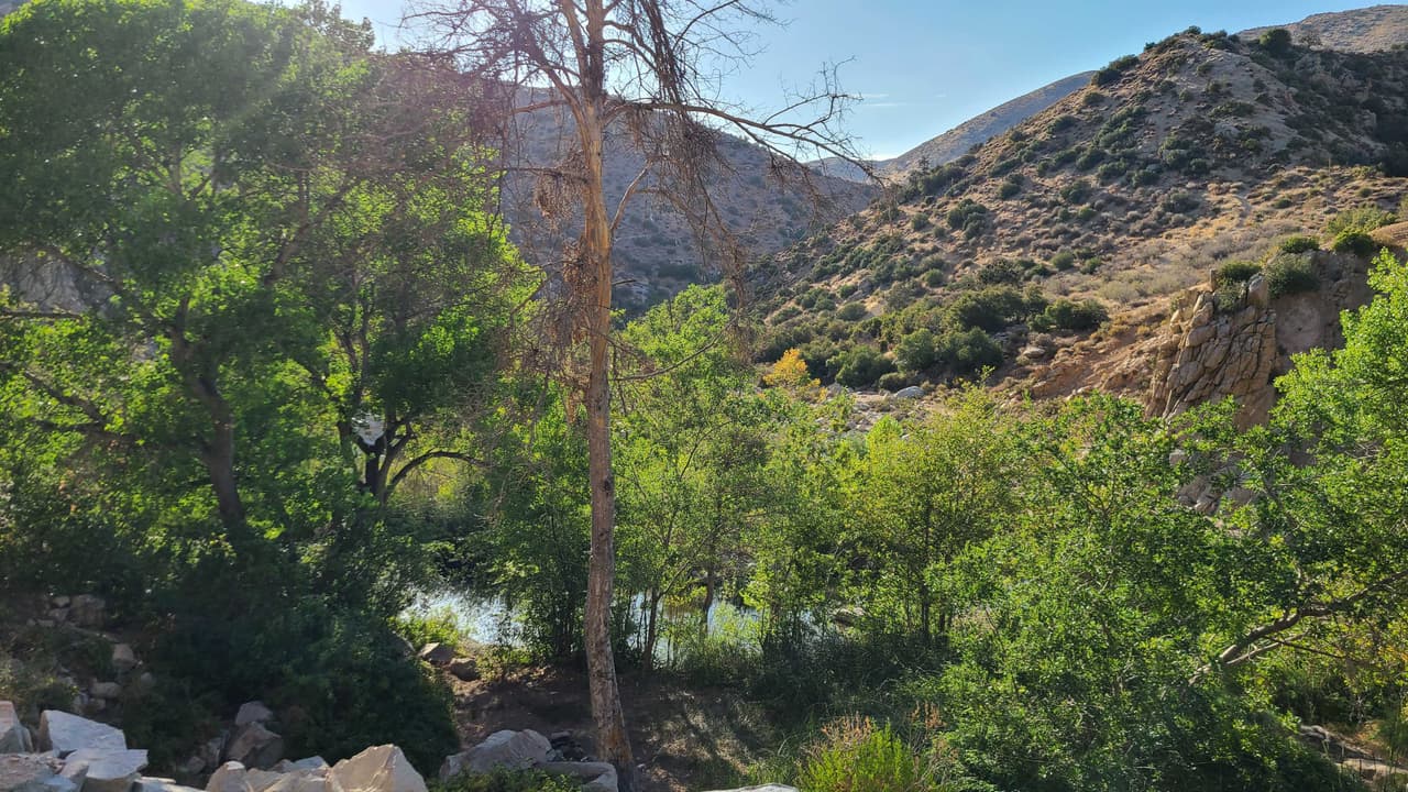 Finalmente, el área es hogar de serpientes cascabel, por lo tanto debes tener precaución.